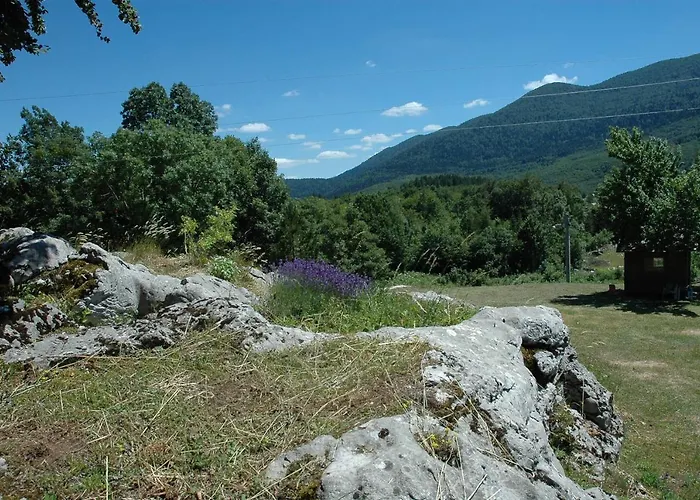 Apartman Juka